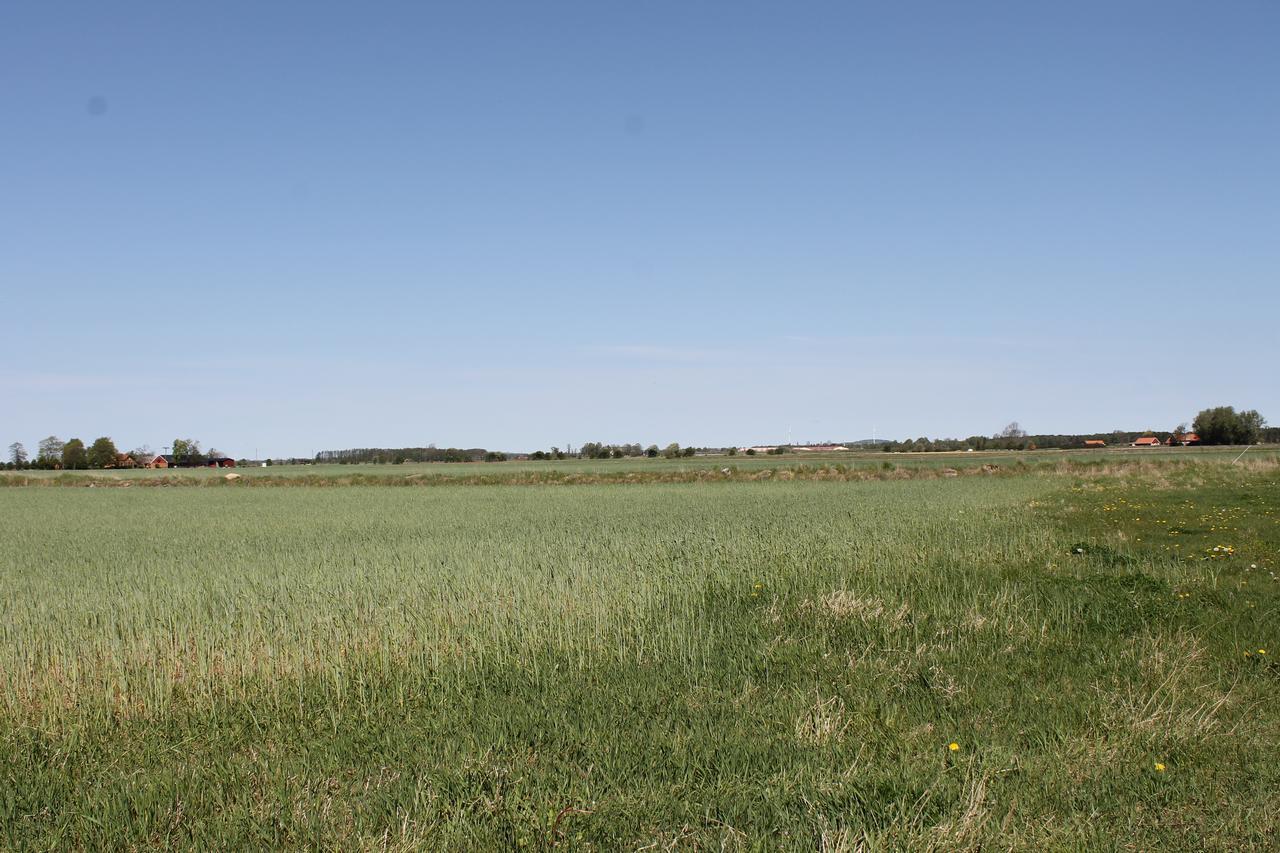 Kaerraton Stugor Åhus Esterno foto